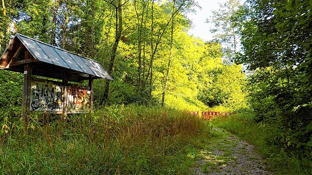 Im Zuge der Instandsetzung der Murgtaltreppe wird auch der teilweise verwucherte und abgerutschte Fußweg von der Treppe bis zur ...