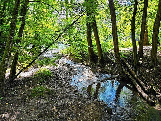 Der Badgraben ist ein kleiner Zulauf des Rheins nahe der Badestelle, an der sich die Frauen in das Wasser gewagt haben.