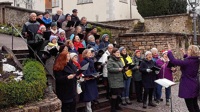 So schön kann eine Strafeinlösung klingen: Petra Dorfmeister, erste Beigeordnete Waldshut-Tiengens, dirigiert unter dem Tiengener ...