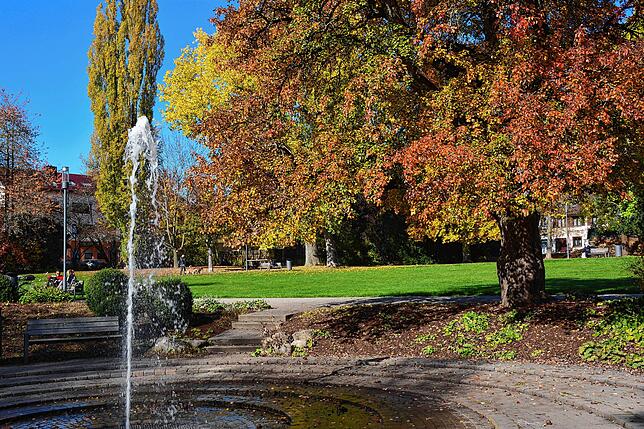 So idyllisch ist der Schwenninger Mauthepark im Herbst: Links der Springbrunnen, der in den Sommermonaten auch immer wieder als ...