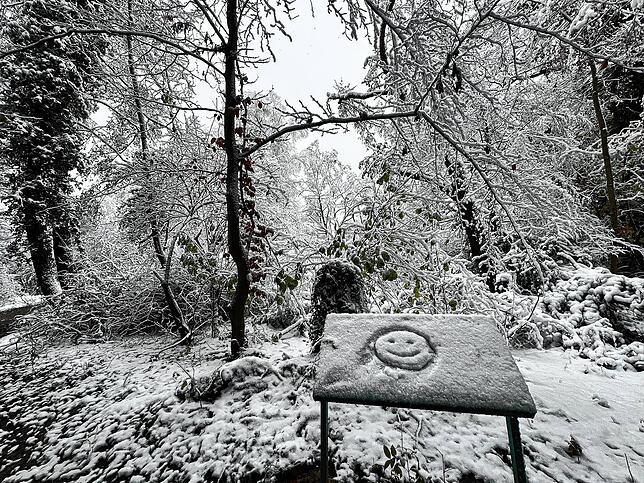 Bild 7: Was für ein Wintereinbruch am Bodensee: Die schönsten Schnee-Bilder vom Wochenende