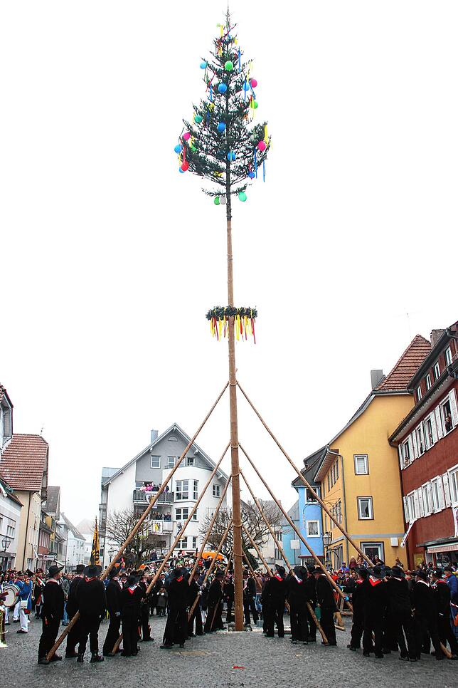 Bild 12: Viererbund-Treffen: Überlinger Zimmermannsgilde stellt erfolgreich den Narrenbaum