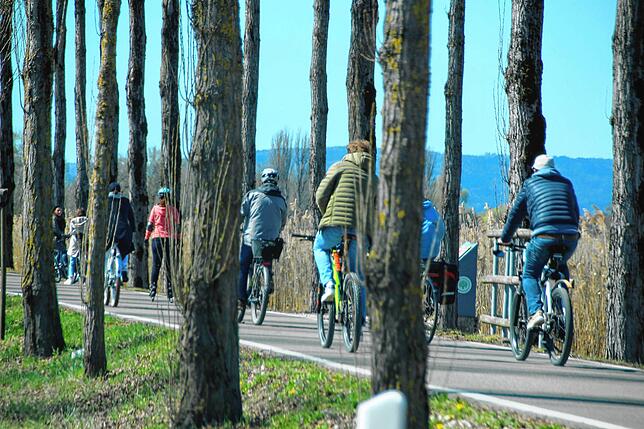 Der Radweg, der auf die Insel Reichenau führt.