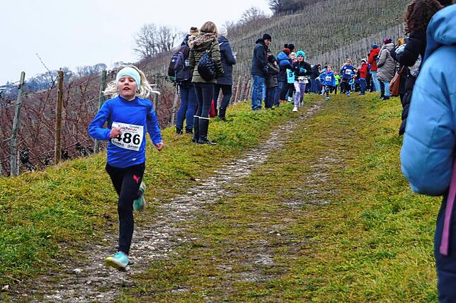 Bild 20: Bilder vom Crosslauf Hegau-Bodensee in den Reben oberhalb der Haltnau