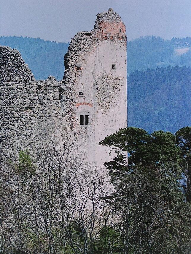 Die Ruine Alt-Bodman auf dem Bodanrück.