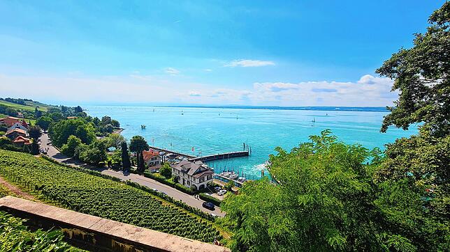 Von der Gutsschänke, dem Restaurant des Staatsweinguts Meersburg, haben die Gäste einen weitläufigen Blick auf Stadt und See. Nun läuft ...