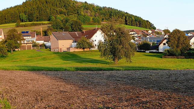 Auf der Fürstenberger Wiese vor den Häusern soll einst ein römischer Gutshof gestanden haben.