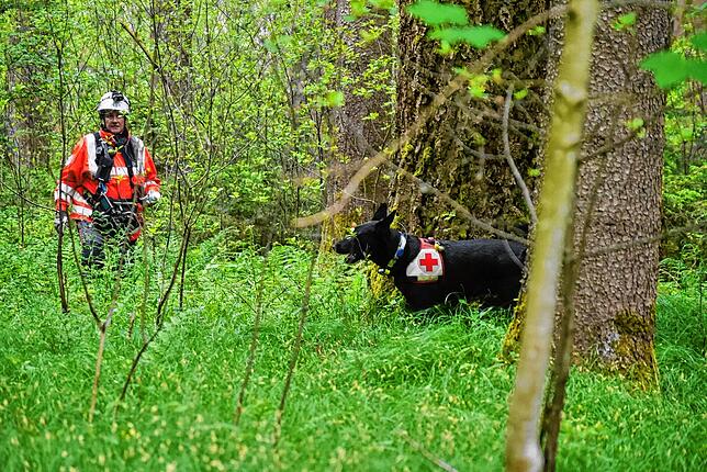 Die Suche nach Personen führt die Hundeführerin oft durch unwegsames Gelände. Im Ernstfall sind sie meistens nachts unterwegs. Foto: ...
