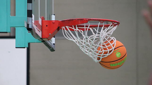 Bild : Wiha Panthers im Visier der Zollfahnder