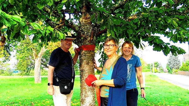 Gemeinderätin Heike Raif (rechts) mit Christel und René Auweder an einem Baum nahe der Friedhofsmauer. Foto: Rotraud Opfermann