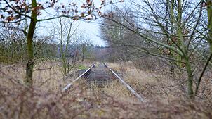 Stillgelegte Bahngleise. (Archivbild)