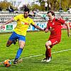 Bild :