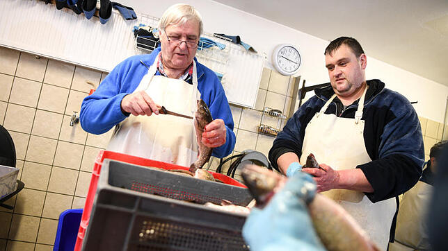 Noch nehmen Fritz (links) und Martin Meichle in ihrer Fischküche in Hagnau Saiblinge aus Aquakultur aus. Nach Martin Meichles Plan ...