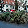 Auch in Konstanz-Petershausen liegen sie am Platz An der Linde.