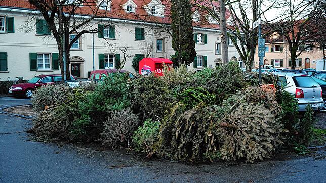 Auch in Konstanz-Petershausen liegen sie am Platz An der Linde.