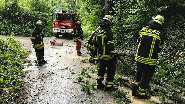 Einsatzkräfte der Feuerwehr Markdorf mussten am Sonntagmorgen zwei Bäume entfernen, die den Sturmböen am Samstagabend nicht ...