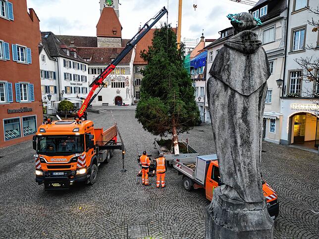Bild 2: Der Weihnachtsbaum auf der Hofstatt steht
