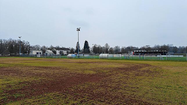 Im Fahrstadion muss bis zum CHI 2025 noch Rasen nachgesät werden. Im Vorjahr hatte der neue Veranstalter hier den ursprünglichen ...