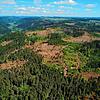 Große Veränderungen der Landschaft können bereits in Oberalpfen beobachtet werden, wo es Kahlflächen von weit über 100 Hektar gibt.