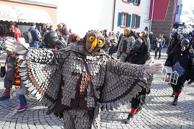 Krah, krah – auch die Rietvögel dürfen nicht fehlen, schließlich ist das Riet ihre Heimat.