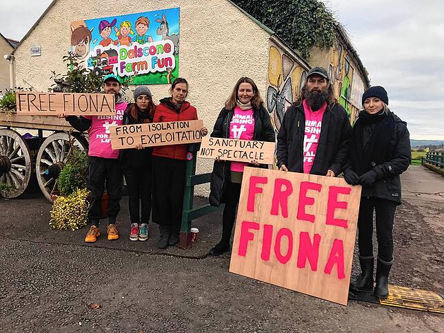 Aktivisten protestieren vor der „Dalscone Farm“ in der schottischen Stadt Dumfries.