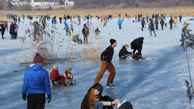 Eisfreuden auf und am Gnadensee zwischen Allensbach, Hegne und der Insel Reichenau.