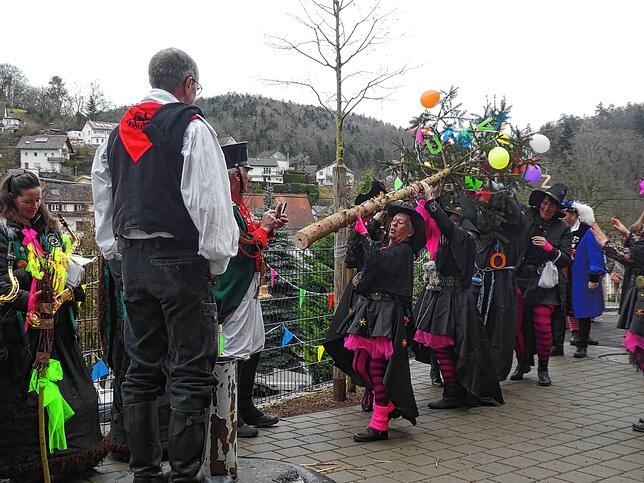 Die Lehrkräfte der Anton-Sohn-Schule in Zizenhausen stellen ihren eigenen Narrenbaum im Schulhof bei der Schülerbefreiung durch die ...
