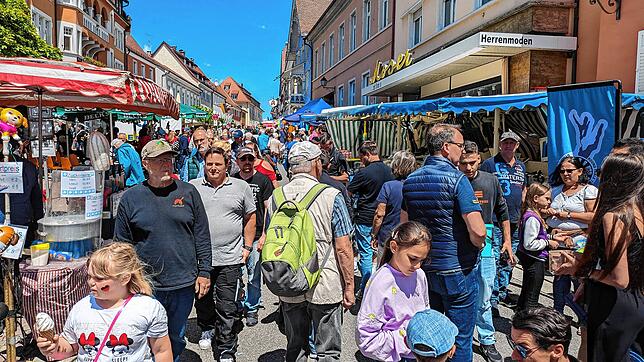 Bild 13: Bilder vom Straßenfest am Schweizer Feiertag (2)
