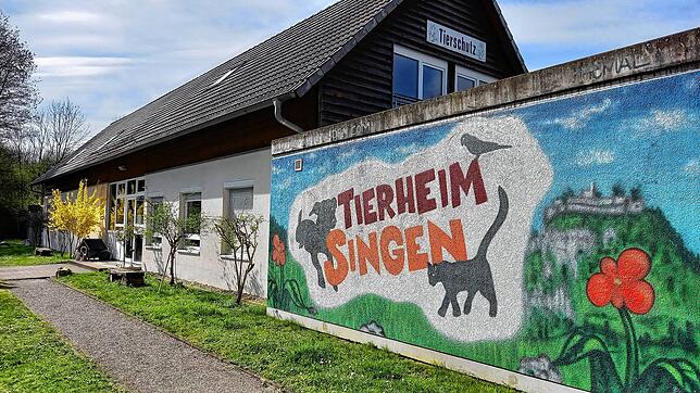 Im Tierheim in Singen sind wegen der höheren Hundesteuer für Listenhunde keine Hunde dieser Rassen abgegeben worden.