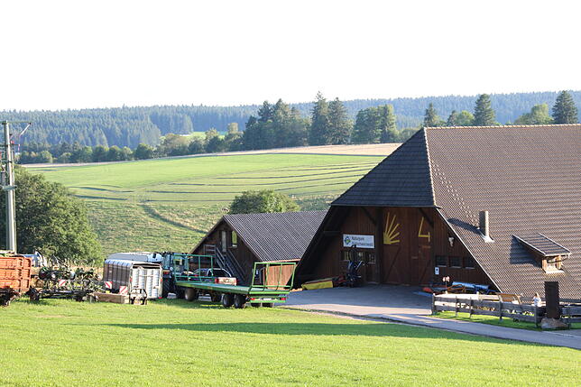 Idyllisch liegt der Schwarzwaldhof Susanna mitten im Grünen.