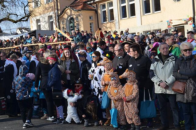 Bild 35: Eigeltinger Narrentage: Der Sonntagsumzug in Bildern (1)