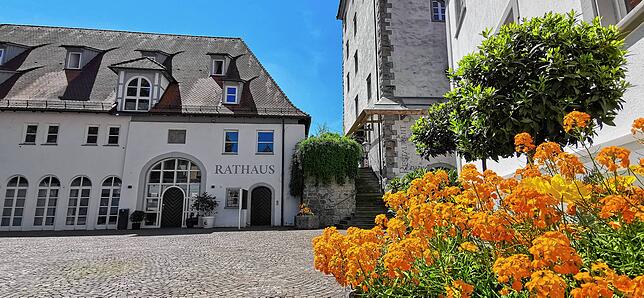 Der Schlosshof ist einer der Plätze, die von der Verwaltung als Stellplätze für die E-Scooter vorgeschlagen wurde. Der Stellplatz würde ...