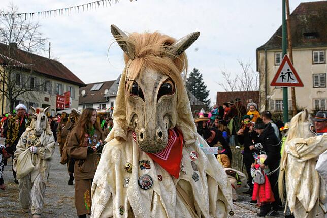 Prächtige Holzmasken, wie die der Schimmelreiter aus Güttingen, gab es vielfach zu bestaunen.