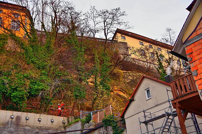 Erst in dem Moment, in dem der Hubschrauber den Baum am Haken hatte, sägten die Arbeiter unten den Stamm ab.