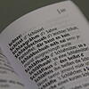 Verwirrende Mundart: Auszug aus einem Schwäbisch-Hochdeutsch-Wörterbuch.