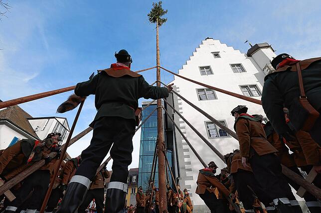 Bild 18: Bilder vom Narrenbaumstellen der Narrizella Ratoldi auf dem Marktplatz