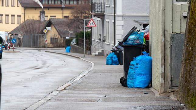 Situation Anfang 2019: Der Müll wurde vielerorts noch nicht abgeholt. Hier in der Waldshuter Gurtweilerstraße.