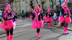 Ein bunter Farbtupfer beim Katzenmusikumzug in Triberg: Die Flamingos – oder doch der Fanfarenzug? Egal. Einfach toll anzuschauen.