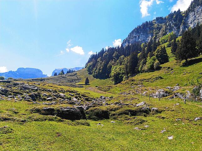 Bild 6: Normalerweise überrennen Touristen das Berggasthaus Aescher, doch wie sieht es dort jetzt aus? Wir nehmen Sie mit auf eine Wanderung