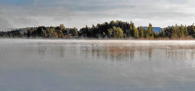 Noch ist die Wasseroberfläche des Riedsees frei für Wasservögel aller Art, so wie auf unserem Bild aus dem vergangenen Jahr. Die Stadt ...