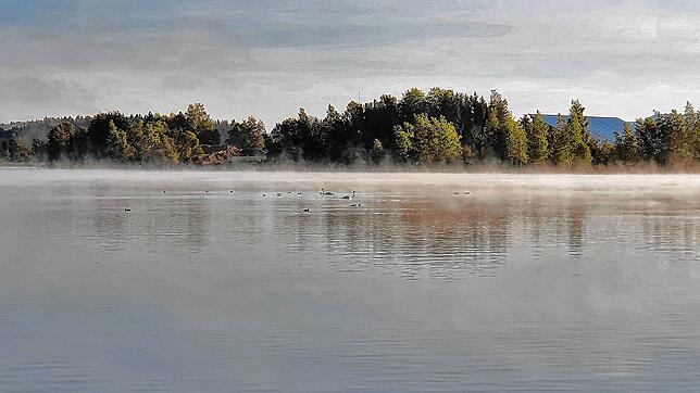 Noch ist die Wasseroberfläche des Riedsees frei für Wasservögel aller Art, so wie auf unserem Bild aus dem vergangenen Jahr. Die Stadt ...