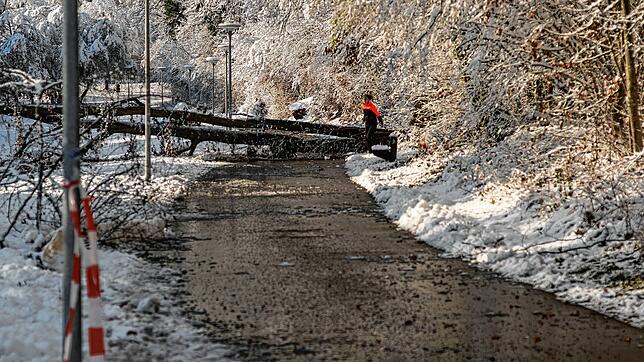 Nach dem heftigen Schneefall vom vergangenen Wochenende herrscht vielerorts die Gefahr von Schneebruch, wie hier im Hockgraben.