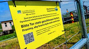 An der Grenze zwischen Polen und Deutschland auf der Insel Usedom steht ein Sperrzaun zum Schutz vor Schweinepest. Die Tierseuche ist ...