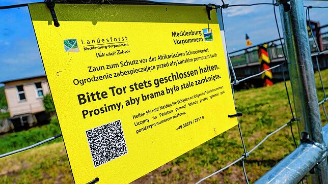 An der Grenze zwischen Polen und Deutschland auf der Insel Usedom steht ein Sperrzaun zum Schutz vor Schweinepest. Die Tierseuche ist ...