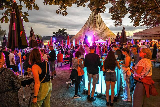 Bild 12: Die schönsten Bilder vom Hausherrenfest in Radolfzell!