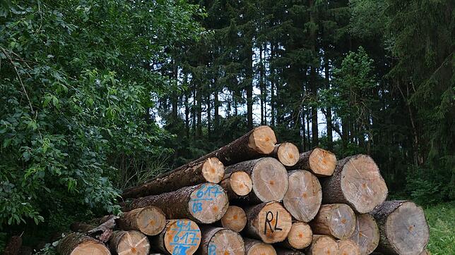 319.800 Euro brachte der Holzverkauf in Wutach ein. Foto: Stefan Limberger-Andris