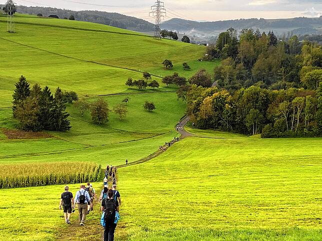 Bild 2: Gemeindejubiläum: Die schönsten Momente der Wanderung durch Ühlingen-Birkendorf