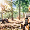 Die Nachfrage nach Holz ist in den vergangenen Jahren enorm gestiegen.