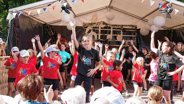 Bild 1: Bezirksmusikfest in Hohentengen – die besten Einblicke der Eröffnung!