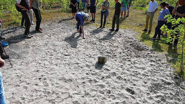 Irene Blaha zeigt eine der Sandlinsen. Dort sind die Schichten sehr durchlässig und es kann kein Wasser gehalten werden. Bild: Sebastian ...